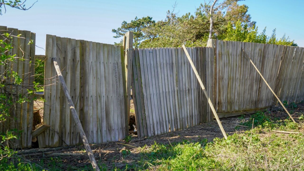 old fence(2)